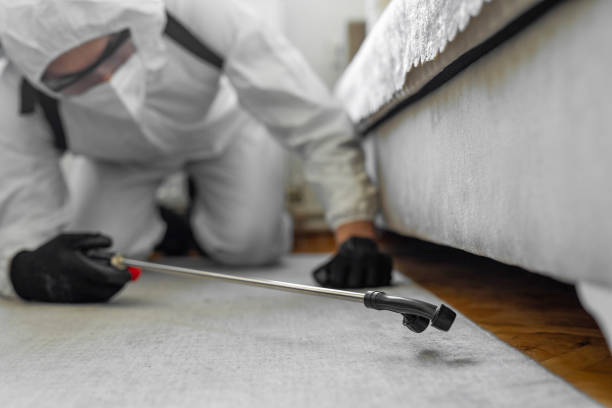 Professional Bed Bug Control technician working in Upshur County County, TX